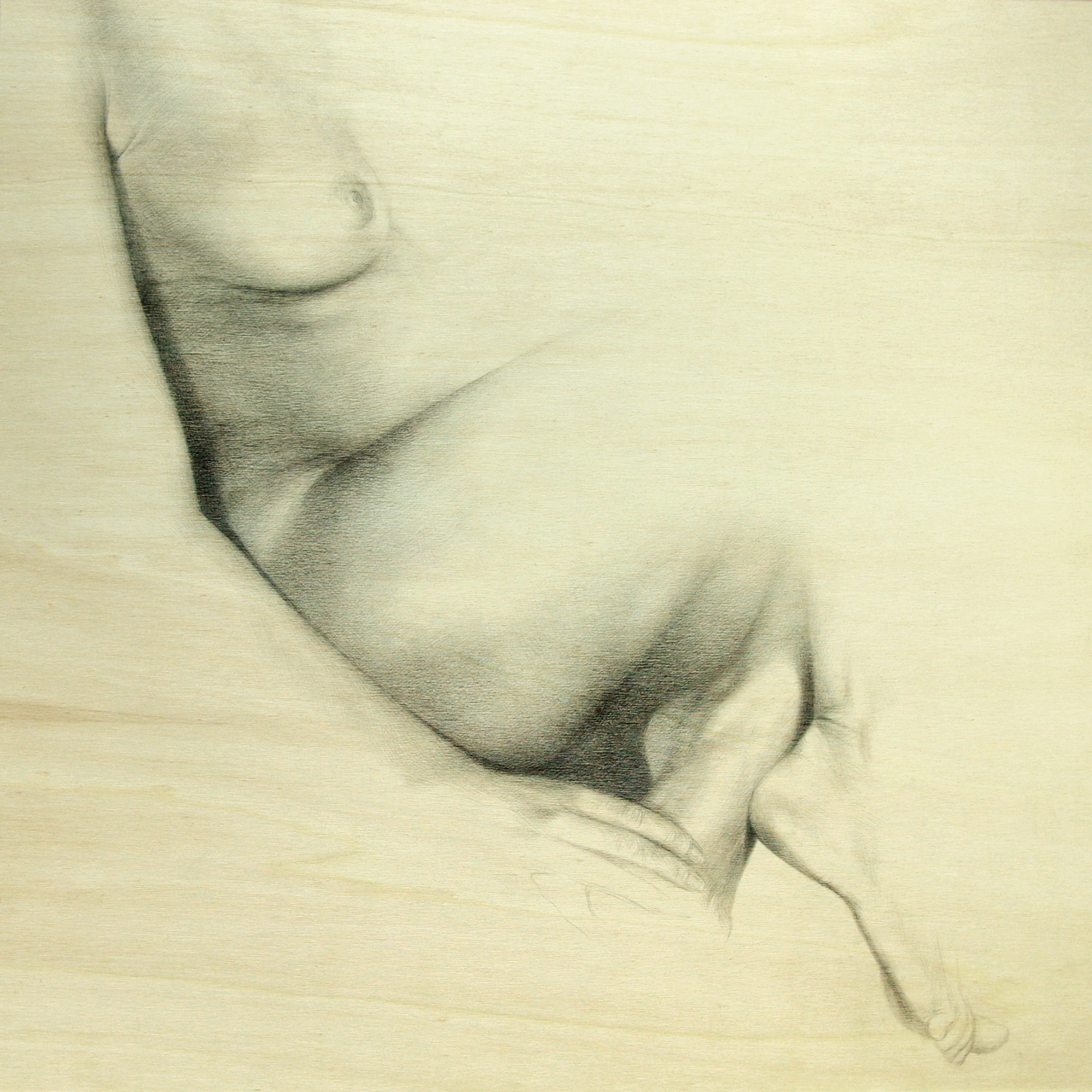„Aktbogen“ . Bleistift auf Holz . 60 x 60 cm . 2008 . verkauft